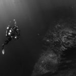 潛水夢工廠：探索海底的神秘世界